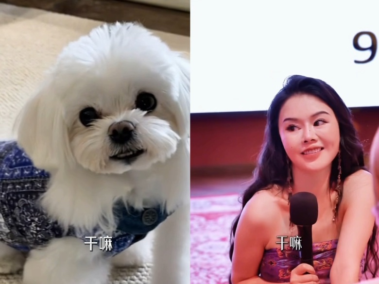 是不是感觉不一样