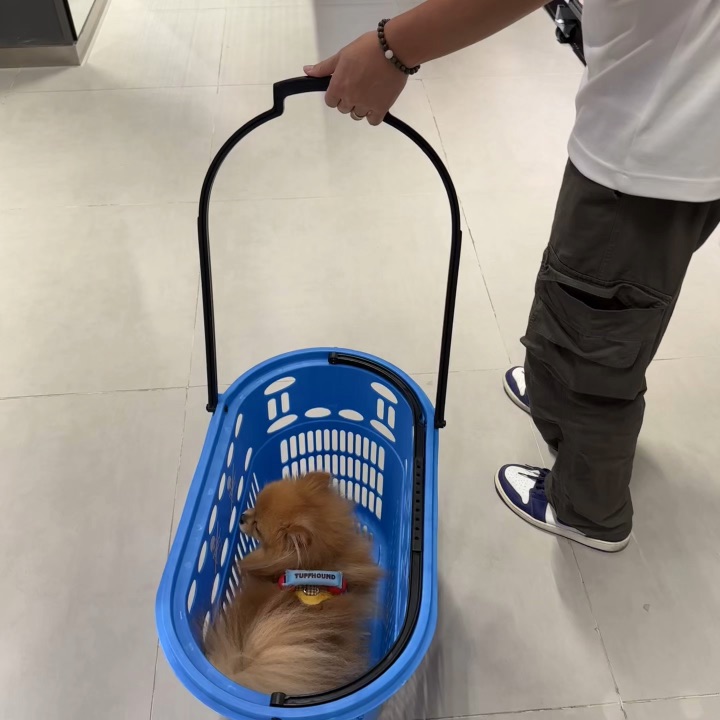 商场里，这不是野生的宠物推车吗