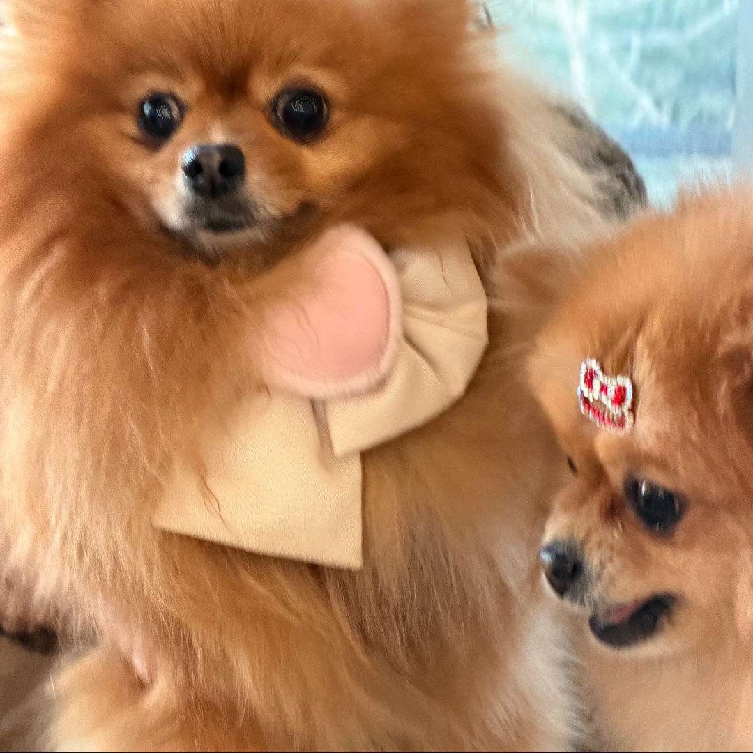 你不要过来啊！！！！