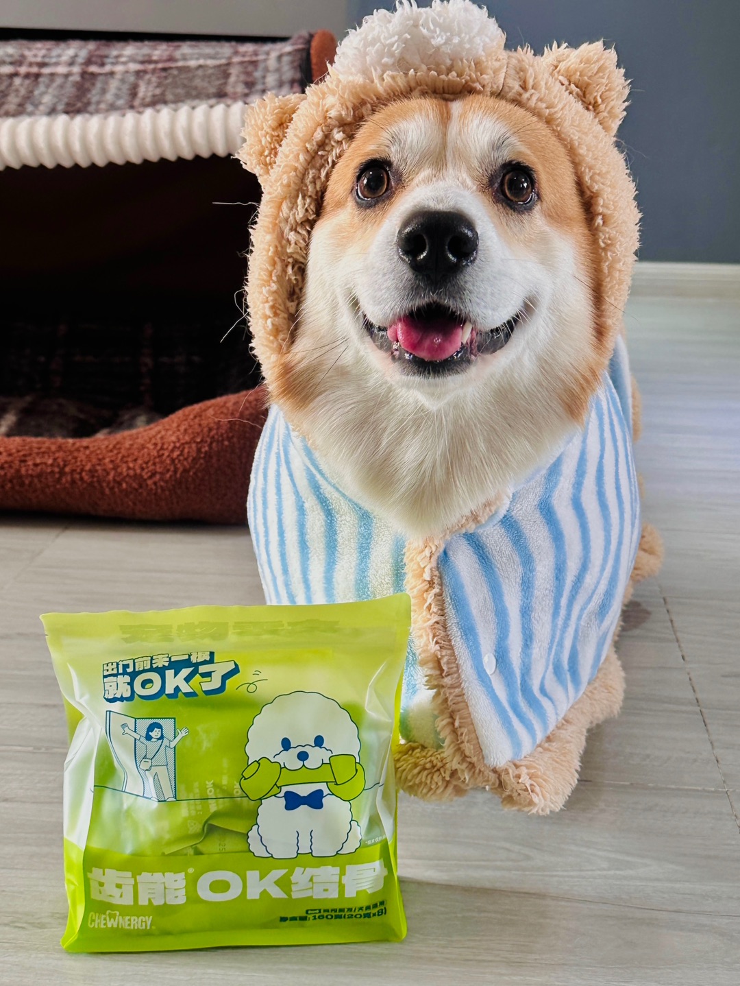 小狗的快乐天花板～