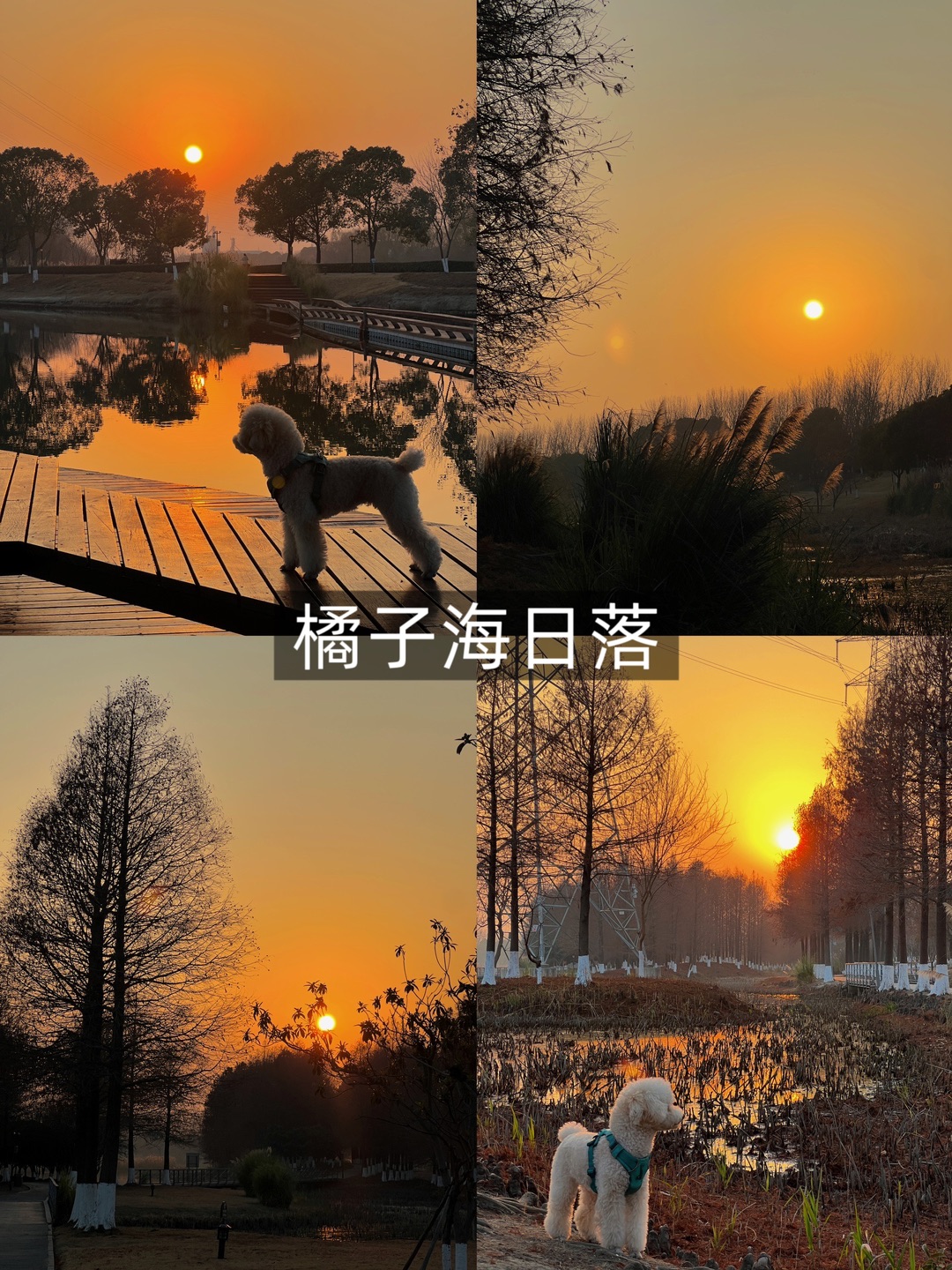 西五街