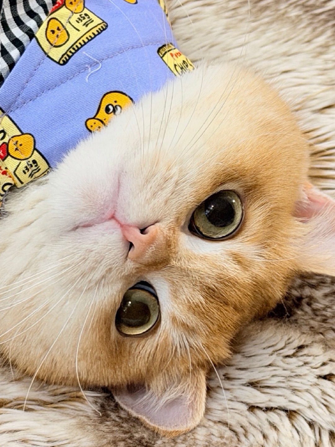 躺床上抬头？你又在拍我～