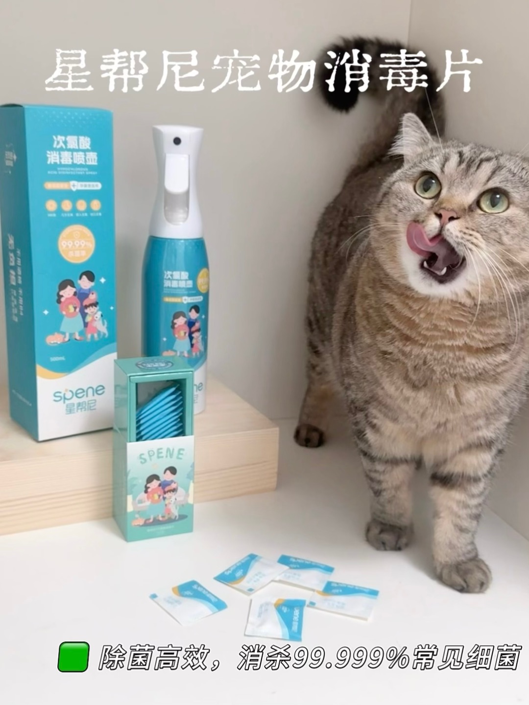 养猫后才懂，消毒真的不能瞎选💔