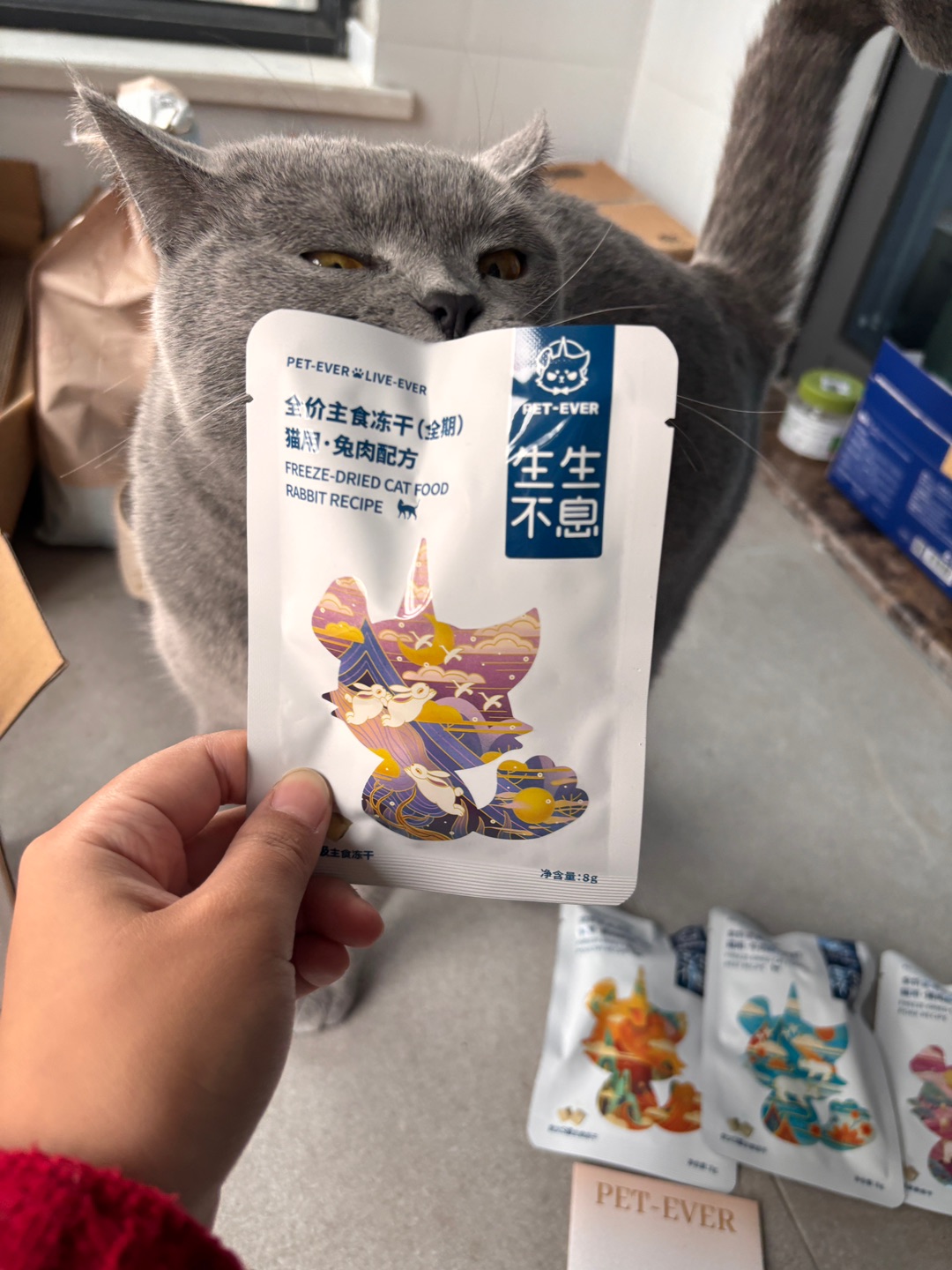 测评生生不息主食冻干