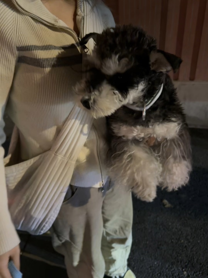 有一种冷叫你妈觉得你冷