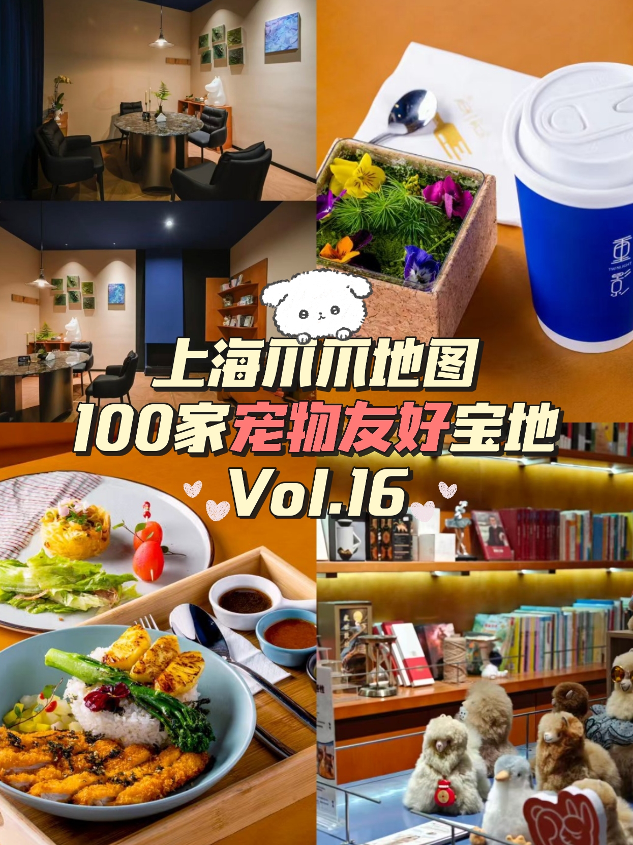 带宠进店第16站｜重影twinlight