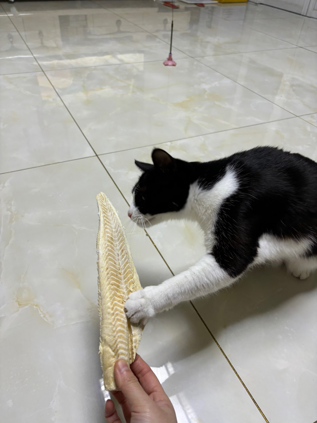 (^-^)/~(＾◇^)/ヽ(^0^)ノ~(＾◇^)/(^o^)／(*´▽｀)ノノ