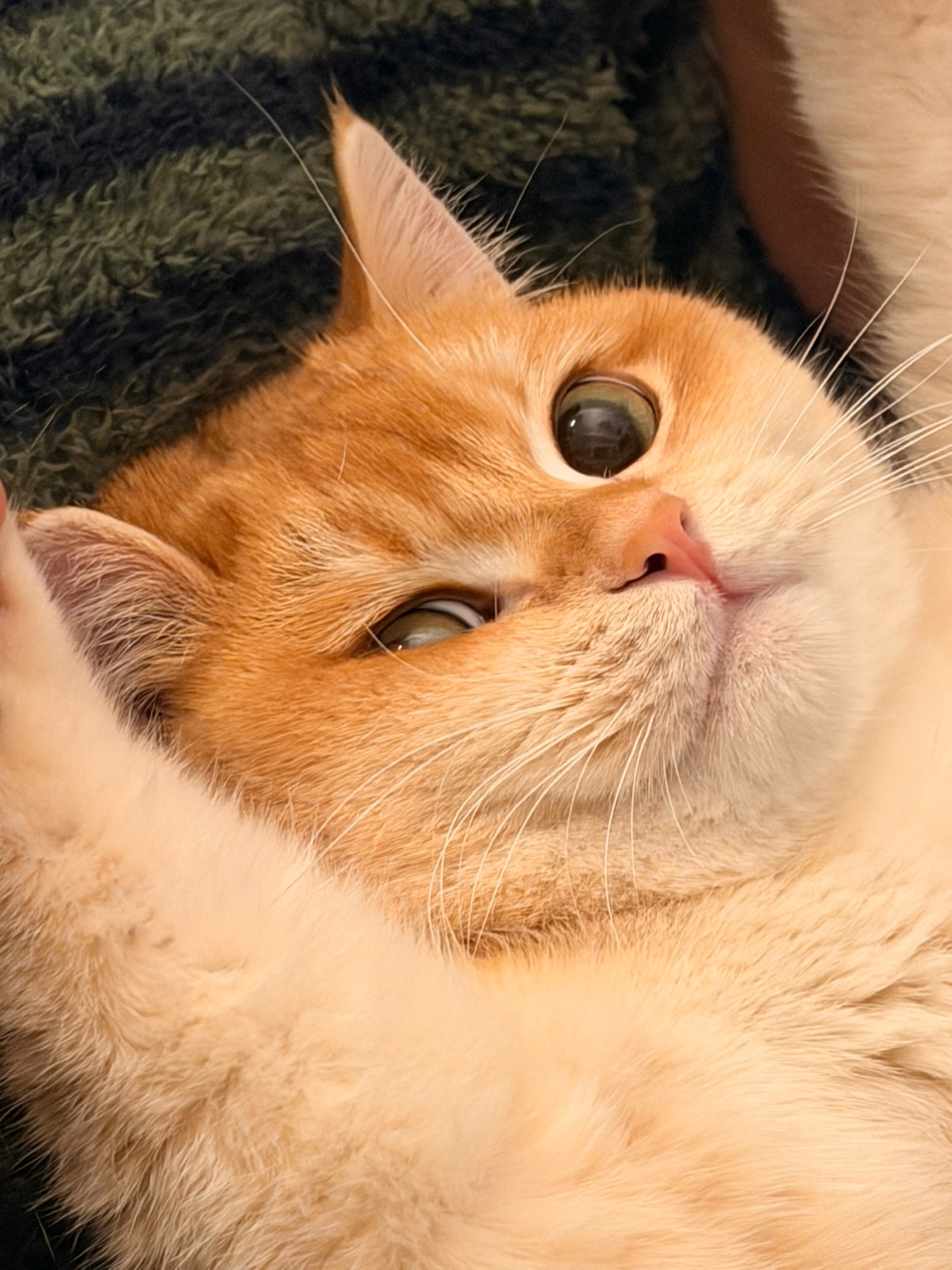 说～说～说～说你爱我💗🫣