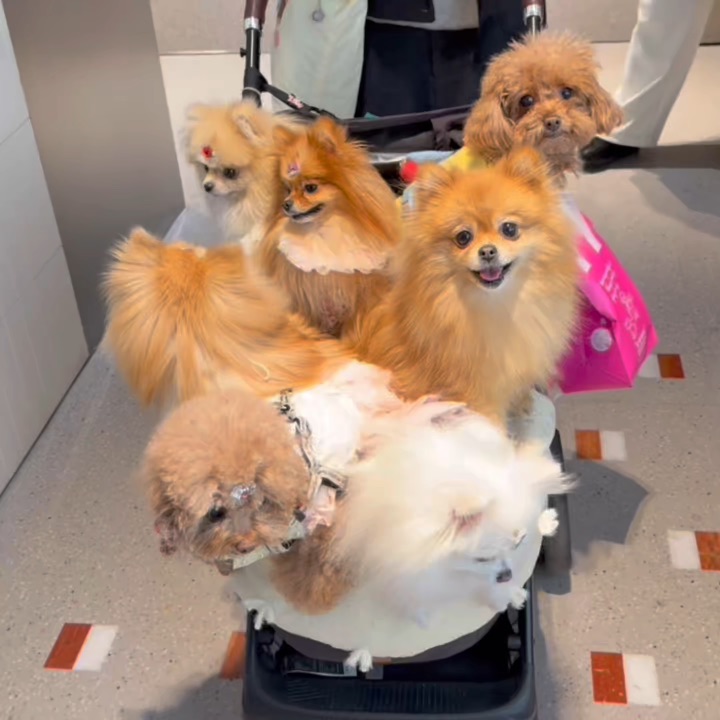 一个麻袋装不下！