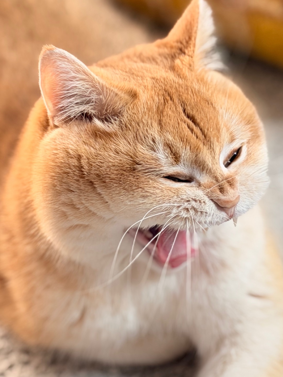 我要打哈欠啦😜😜😜😜