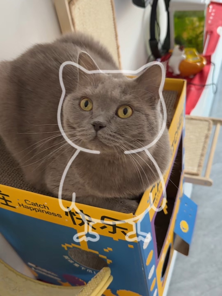 labubu也来挑战咯