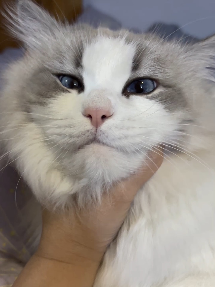 舒服的享受着嘞29