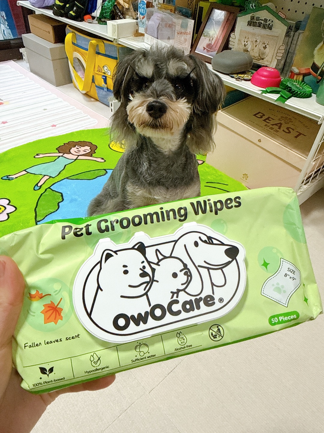 爱干净的小狗都用owocare湿巾