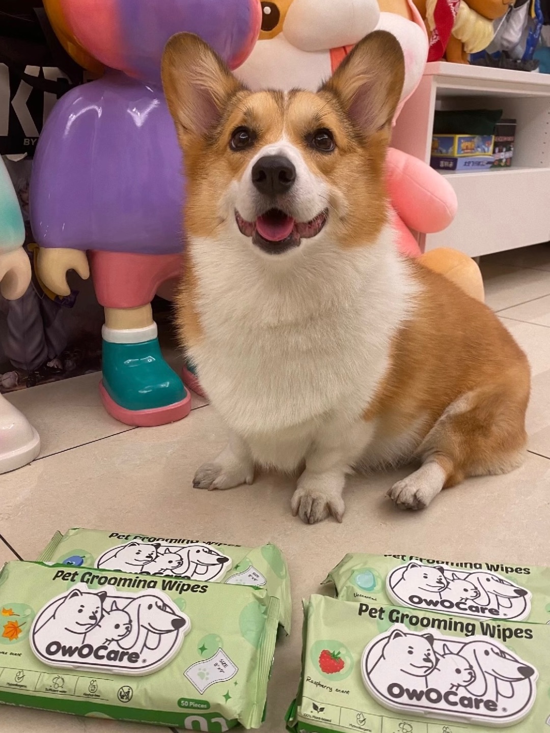 超好用的宠物湿巾