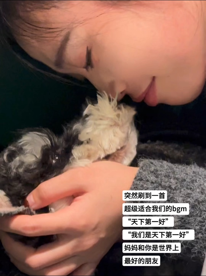 我们就是天下第一最最好