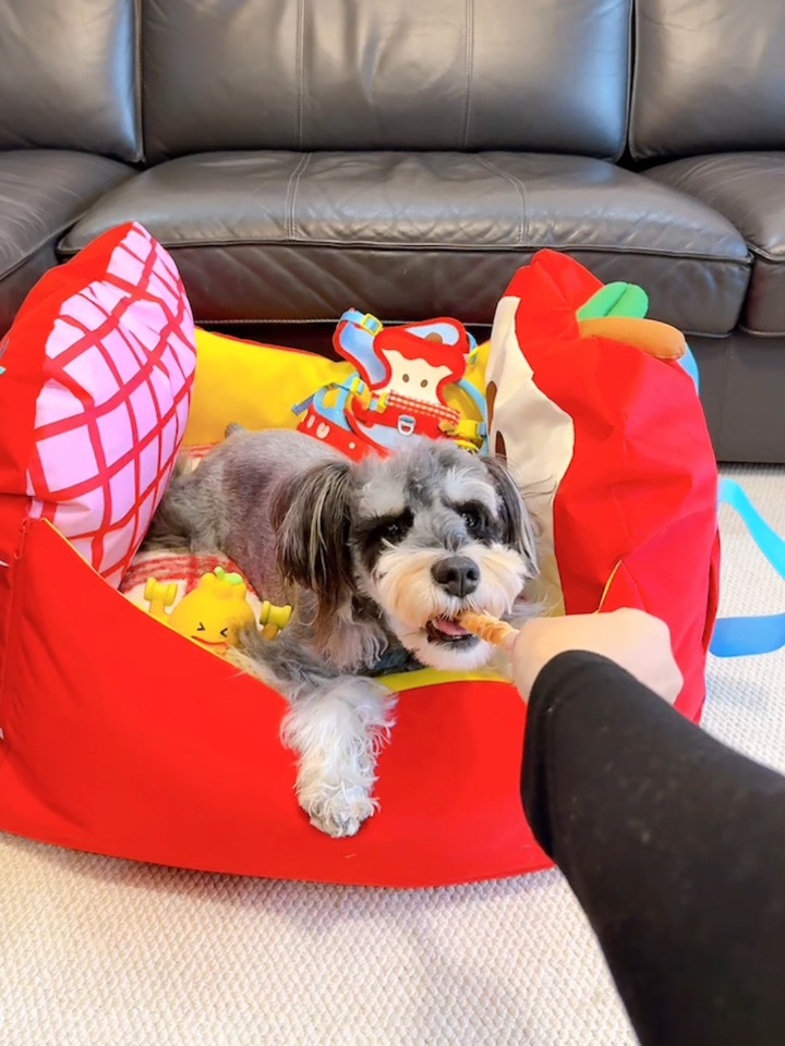 小狗一月好物分享来啦～