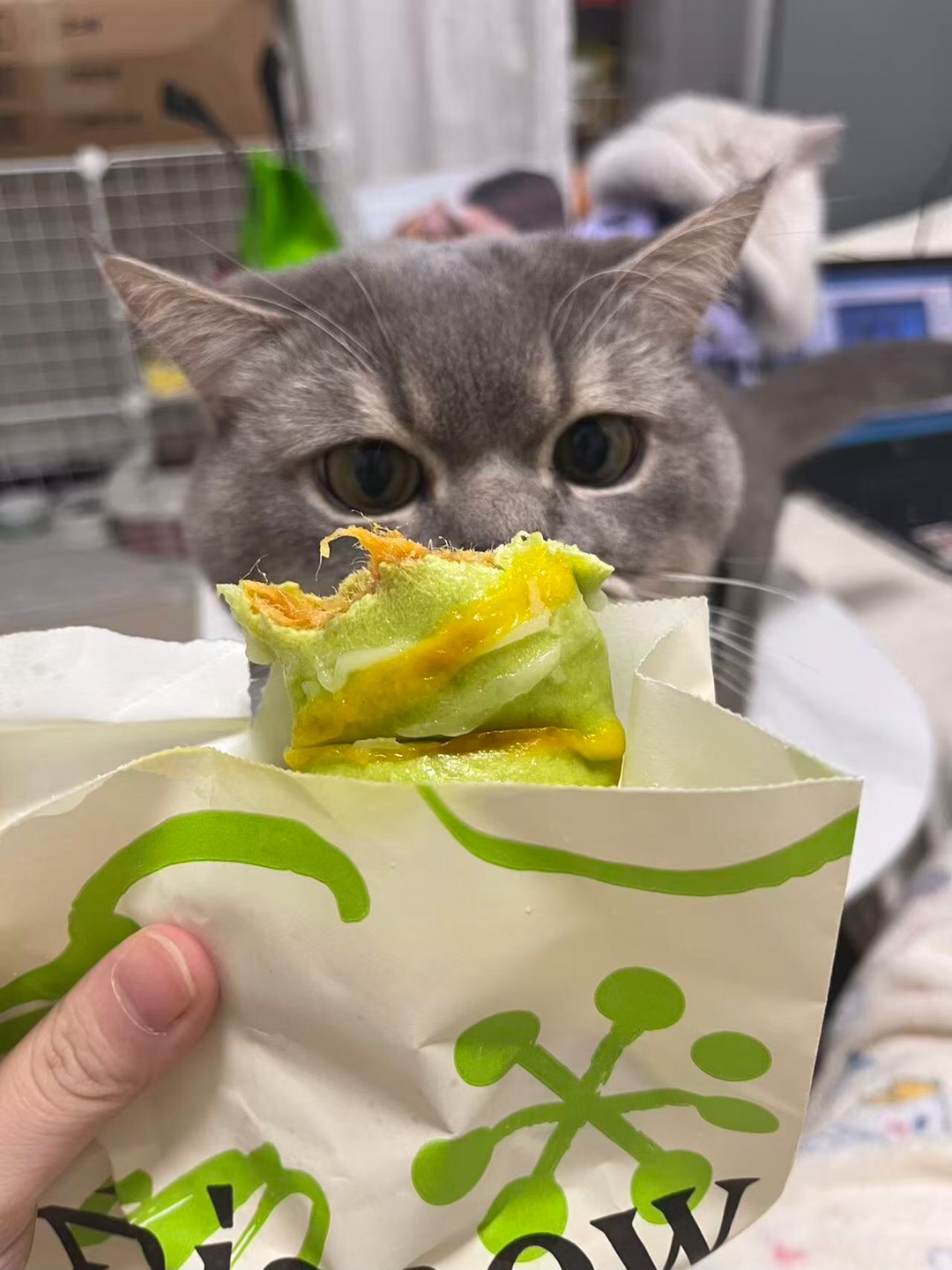 就说馋不馋吧😋