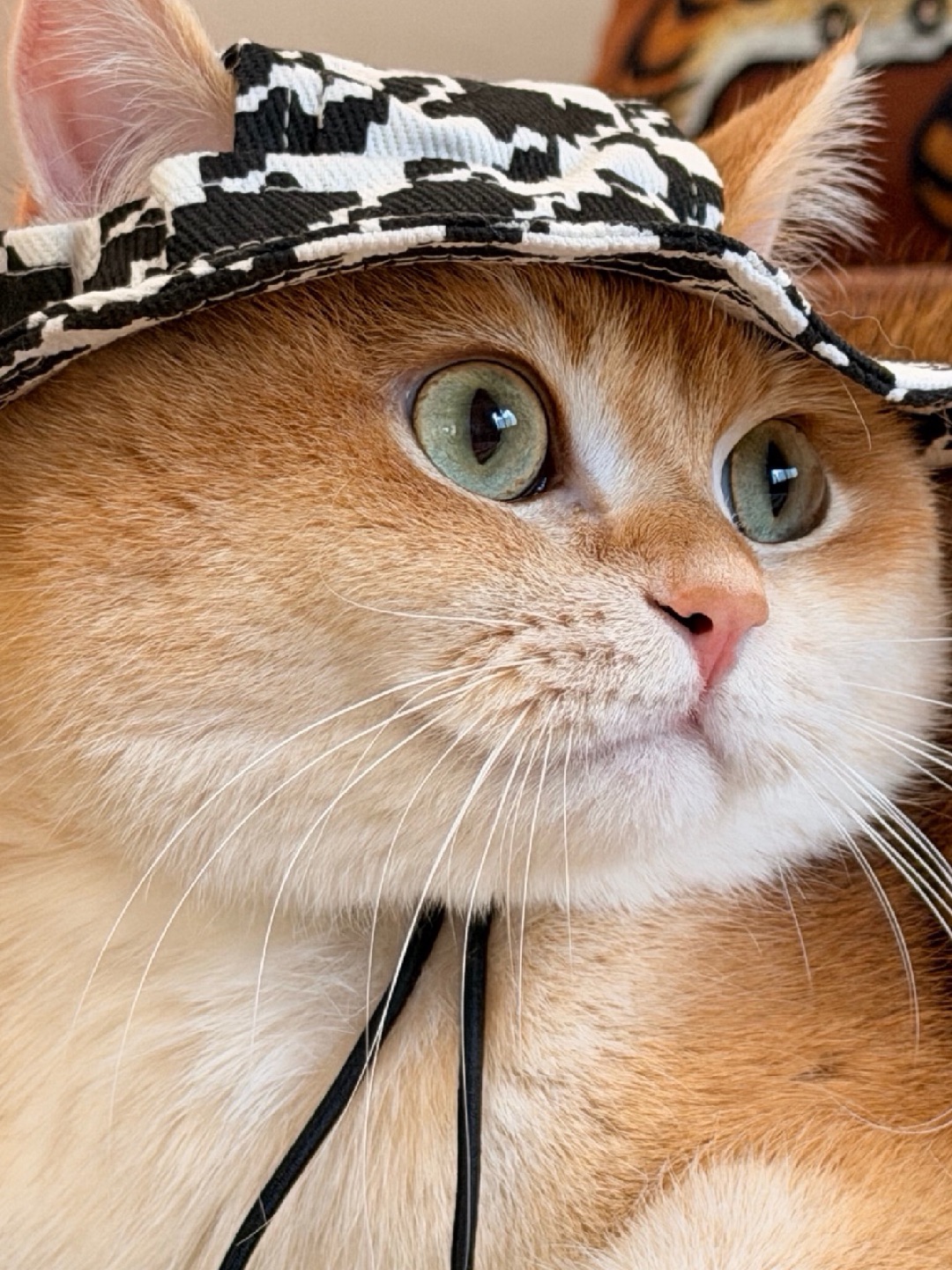 总能让我一秒破功！这顶黑白渔夫帽🤣