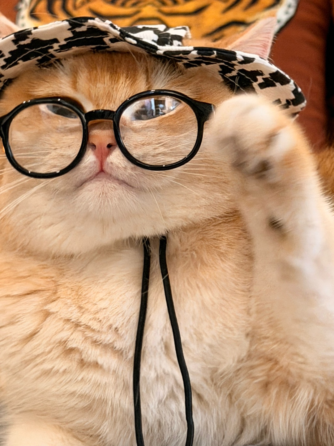 表面：“嗯，这个角度很有学问。”