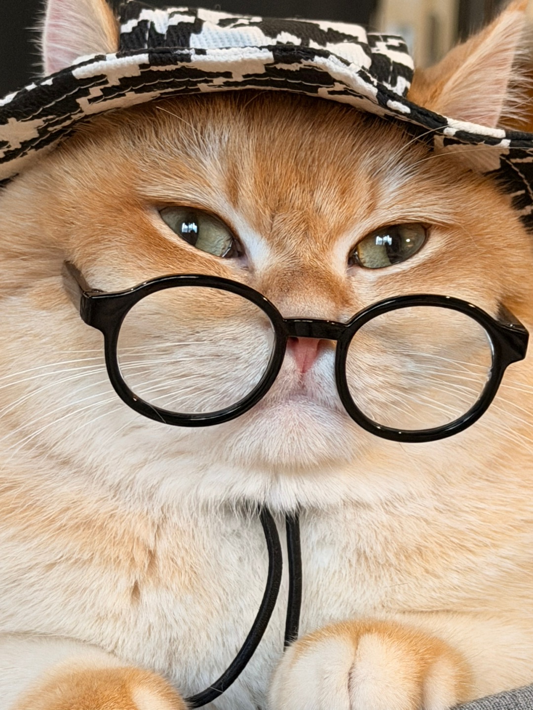 嘻嘻🤭我这脸盘子...真的太大了！