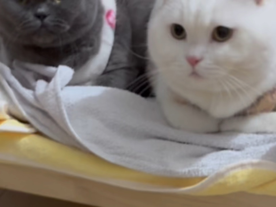 现在关系越来越好啦～