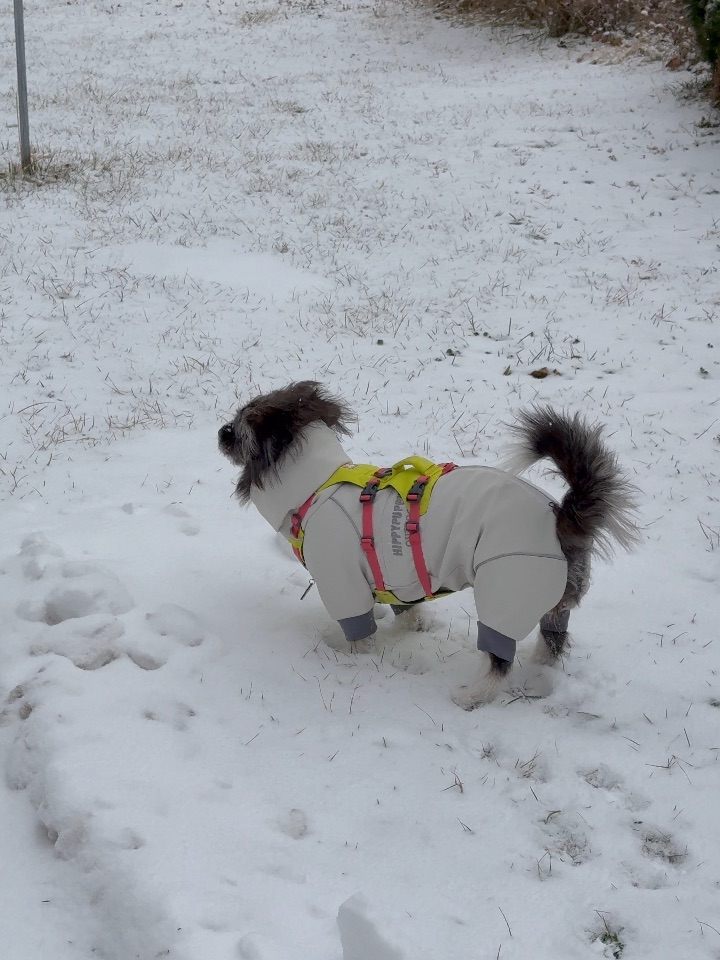 玩雪也太快乐了8️⃣