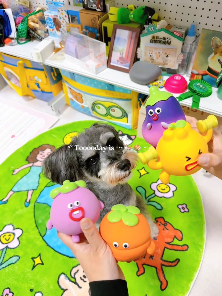 陪小狗大玩特玩～啦啦啦～