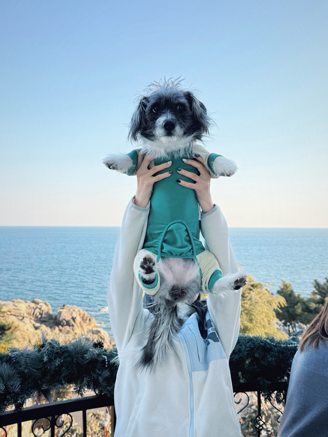 海边咖啡店也太美了吧