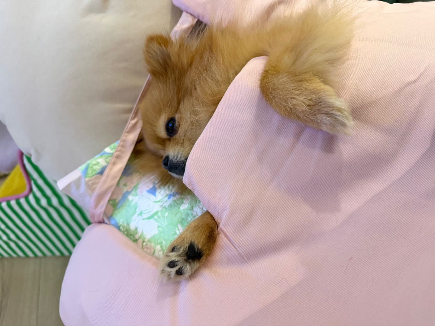 还看？帮我关下灯谢谢