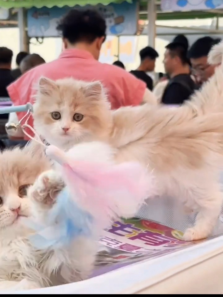 一下子就长大了