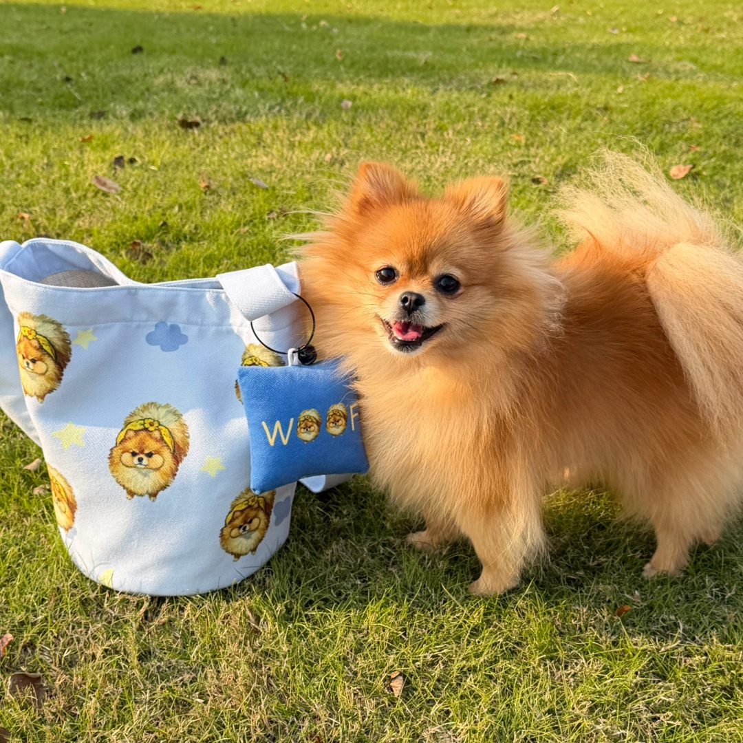 快看！是我的小抖包包