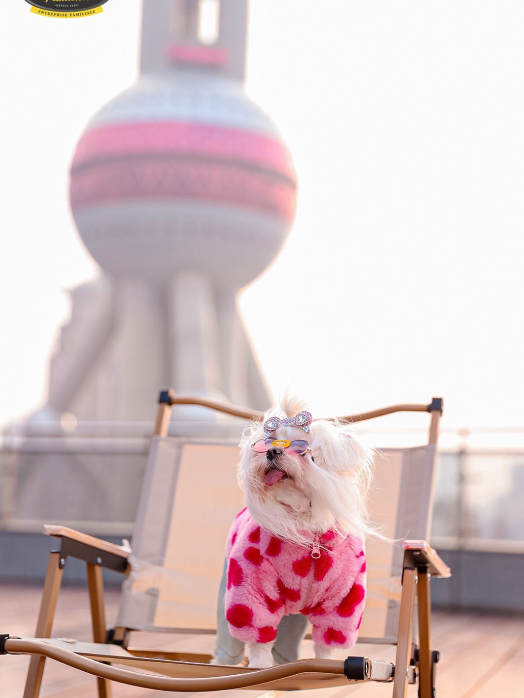 东方明珠下的靓仔们