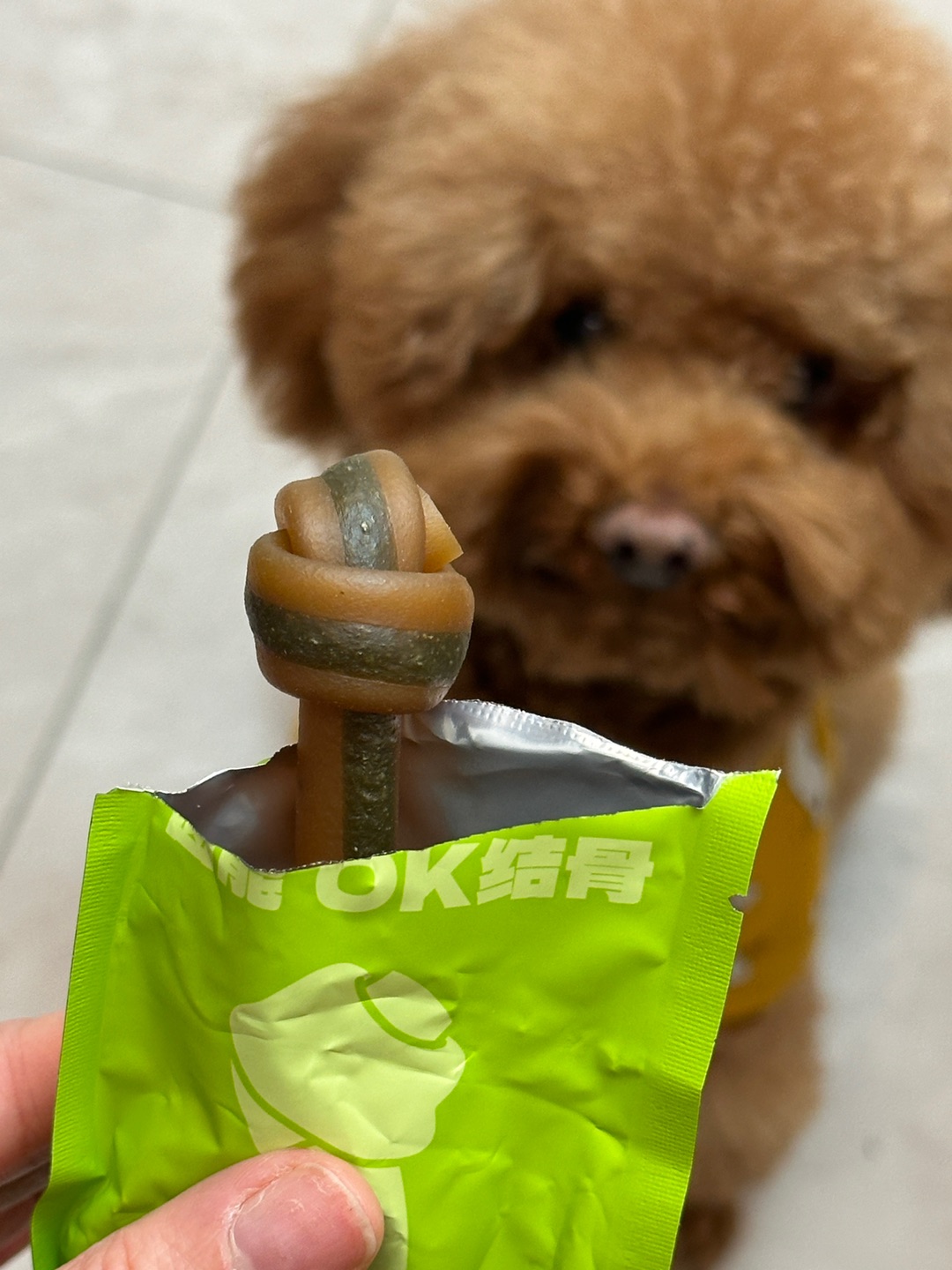 小狗也算是拥有上了OK 结🥳