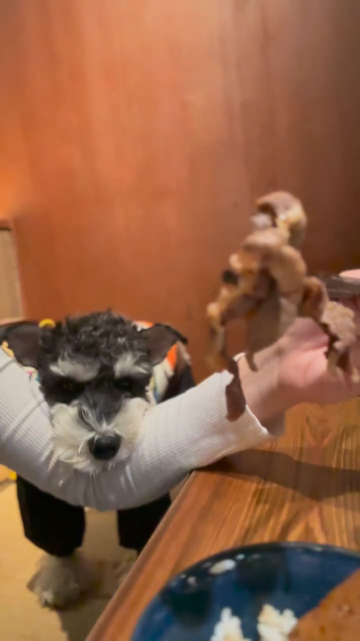 你们吃饭的时候胳膊上会挂个这吗