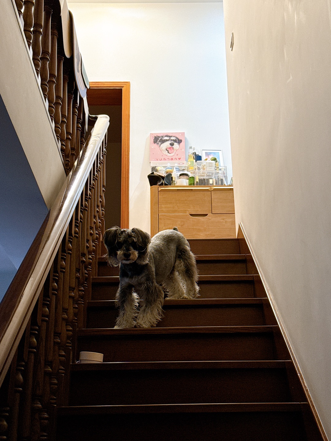 我的臀部翘得可以顶起一个楼层