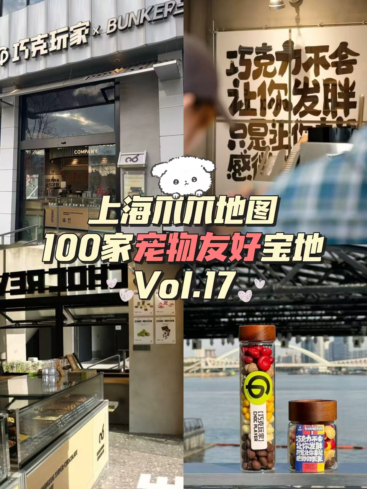 上海宠物友好第17站｜Bunker Bang棒可棒