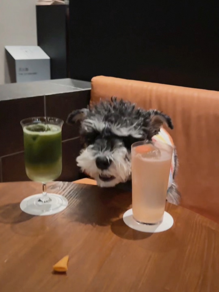 麻麻小斗困困😪