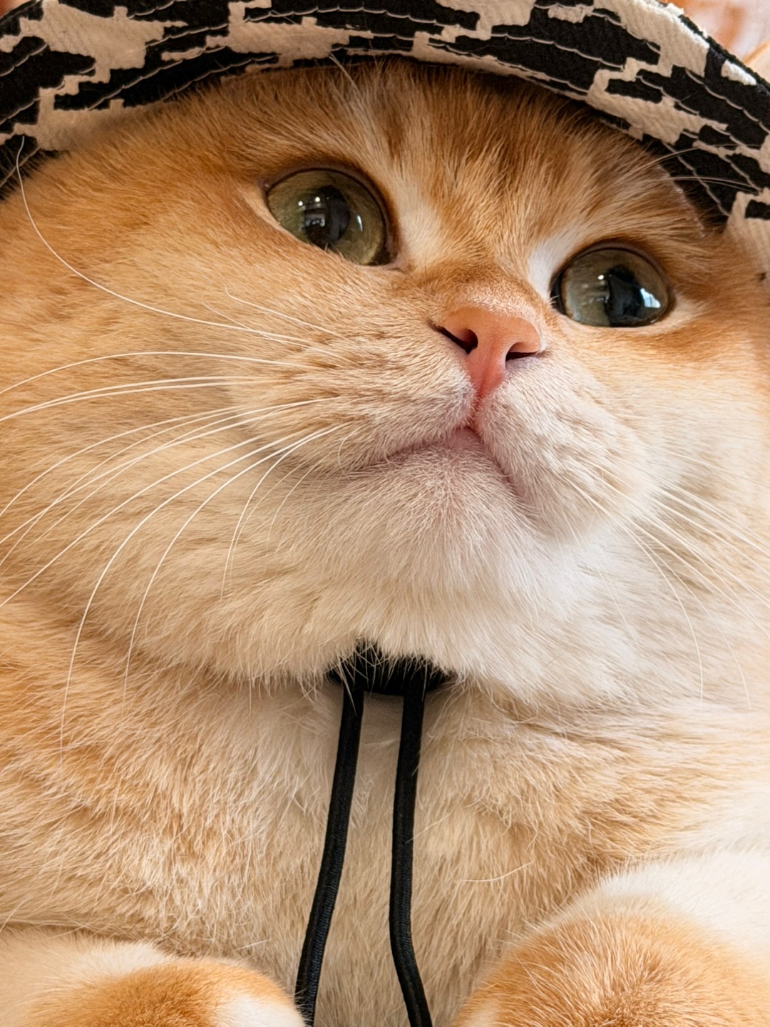 “一分正经、两分清奇、三分幽默、四分莫名其妙”