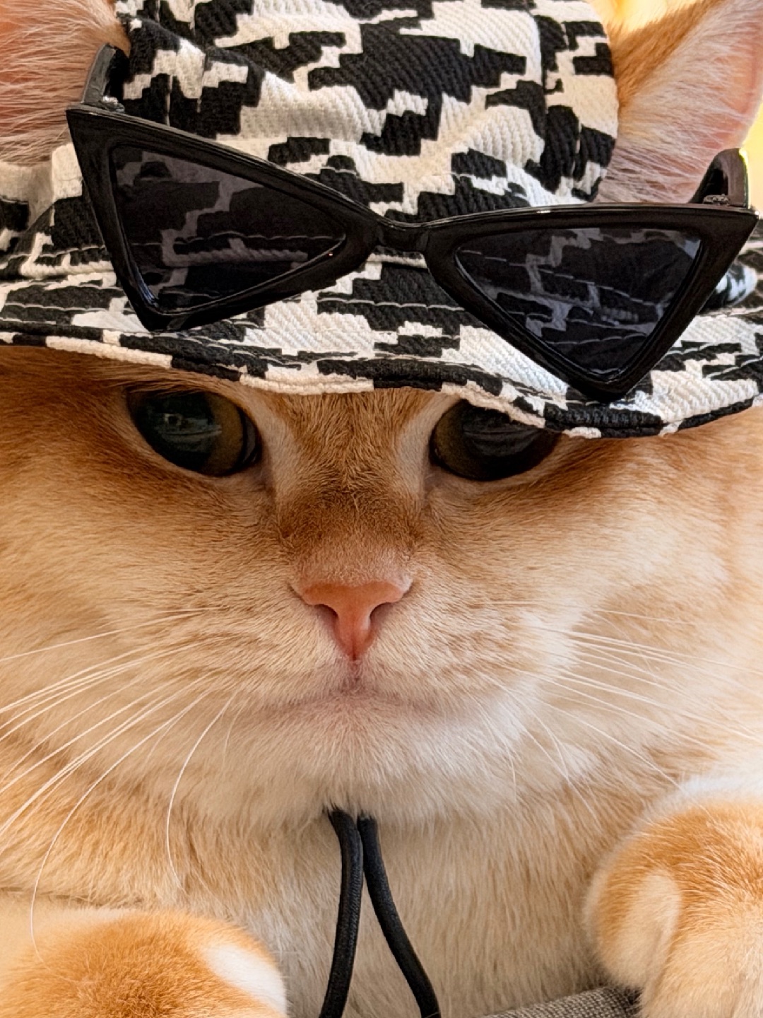 评论区告诉我，你们想看我下次戴什么“装备”？