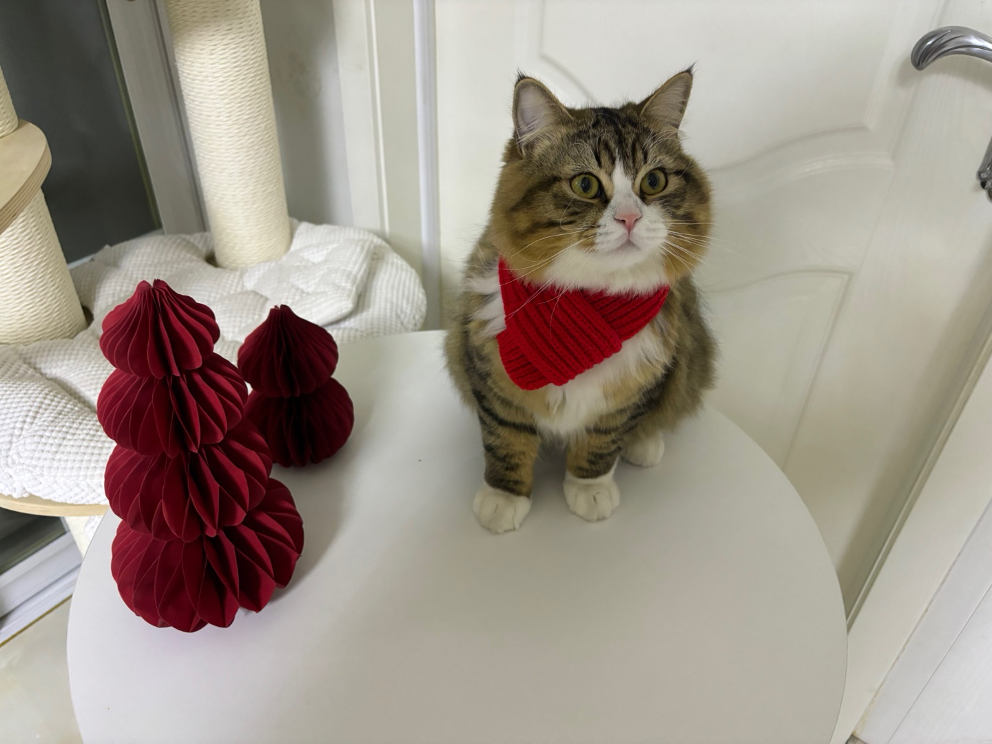 ( ´ ▽ ` )ノ(^_^)ノ(^_^)ノ(^-^)/ヽ(^0^)ノ