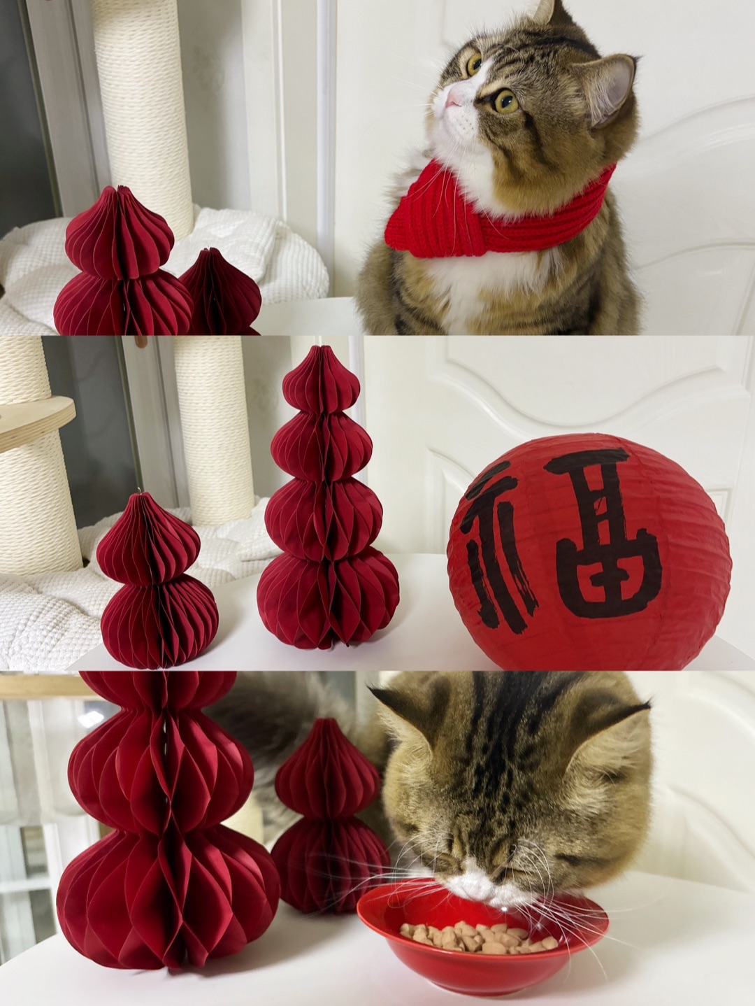 ( ´ ▽ ` )ノ(^_^)ノ(^_^)ノ(^-^)/ヽ(^0^)ノ