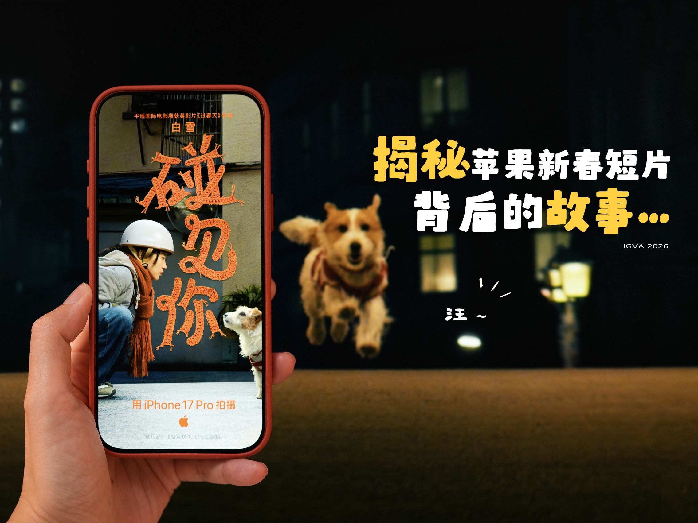 一只流浪狗的故事，iPhone拍出温情新春短片