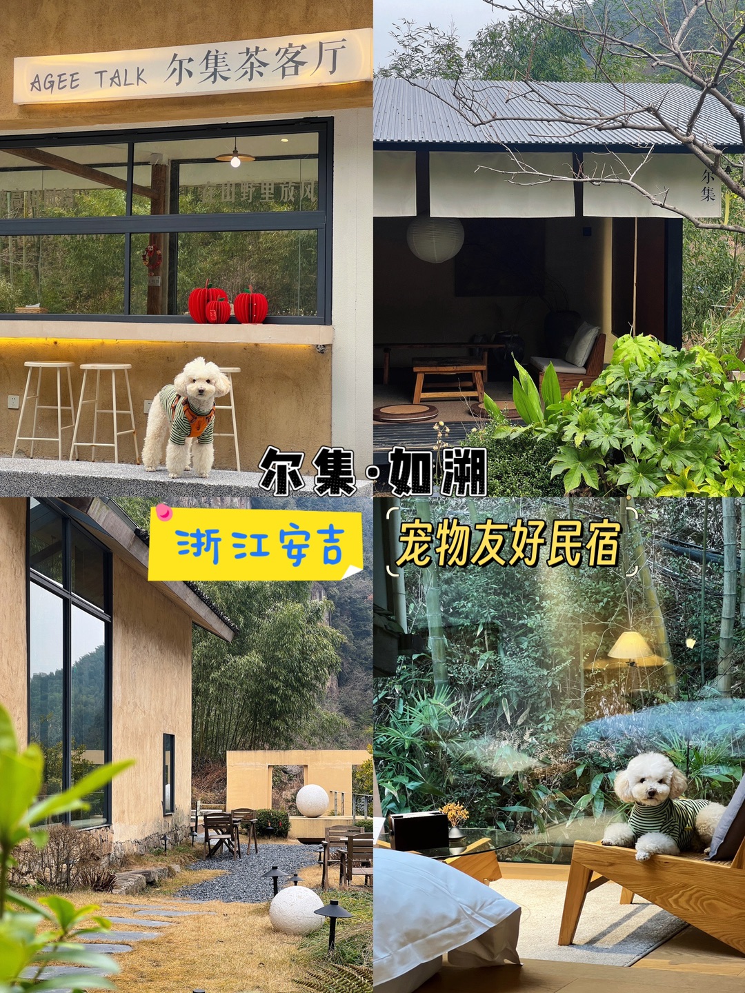 把家搬进山野里，过个慢悠悠的周末