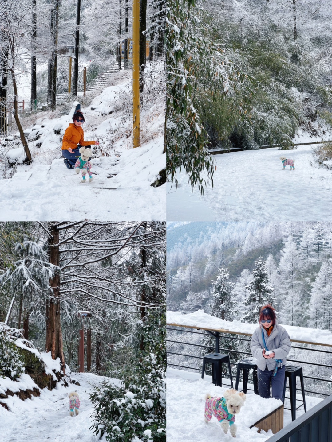 2026年2月的第一天，小狗追雪成功✌️