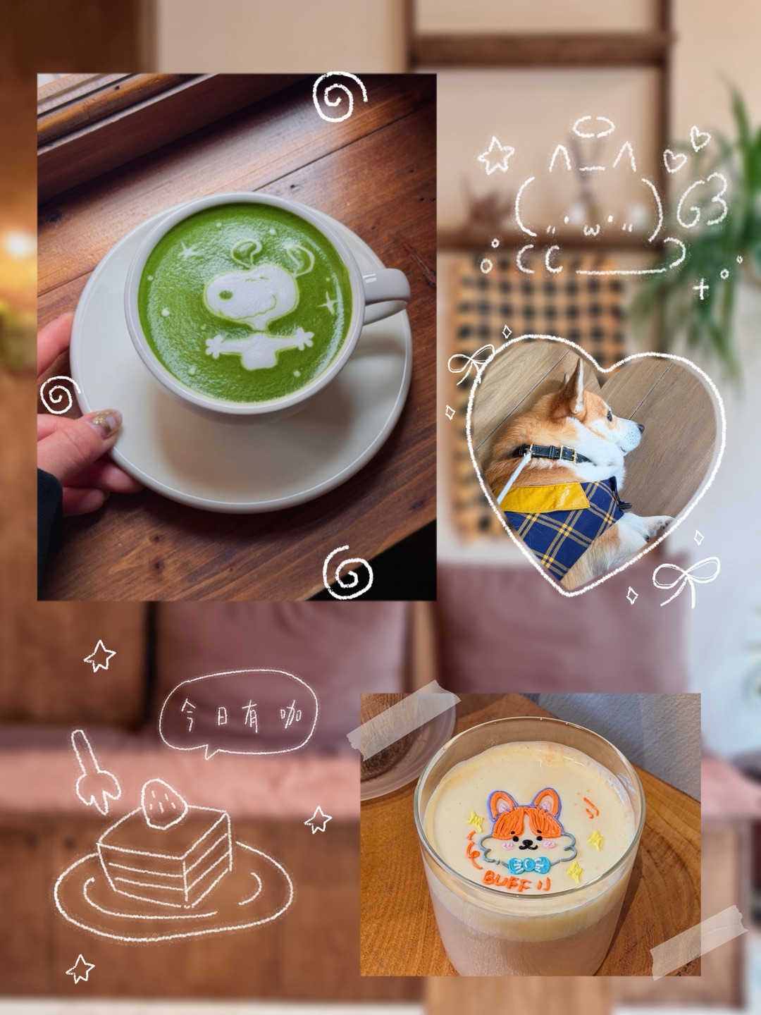 plog:))在宁波喝到了小狗咖啡* ੯‧̀͡⬮