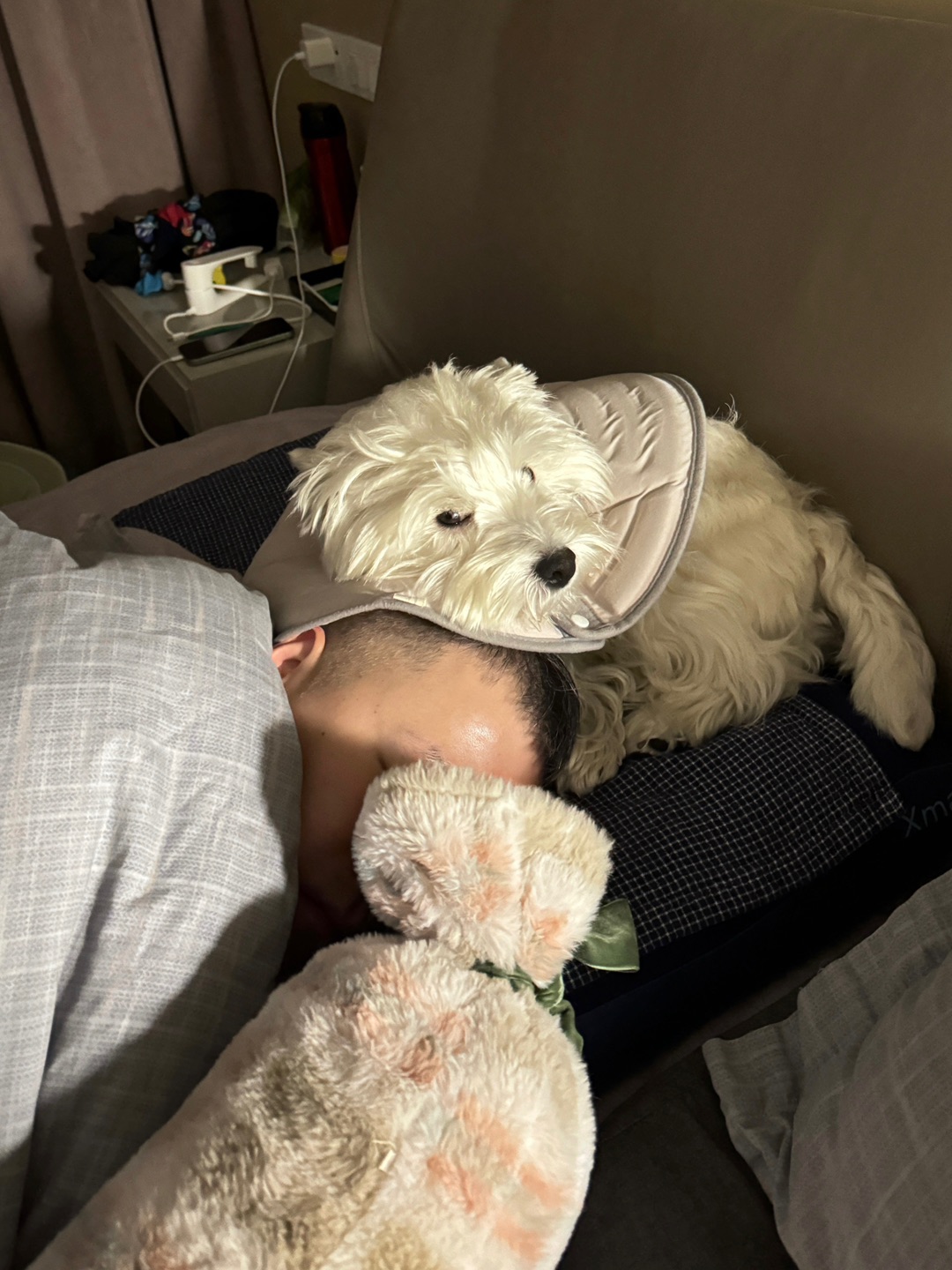 和爸爸就是天下第一好