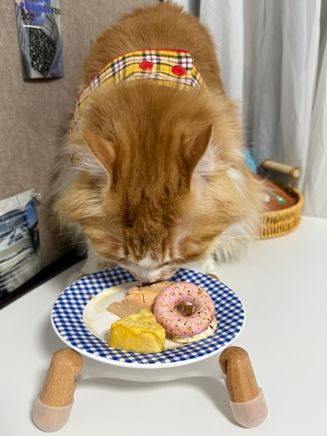 可爱的小猫很爱吃冻干哈哈哈哈哈哈哈哈 😂……………………………………………