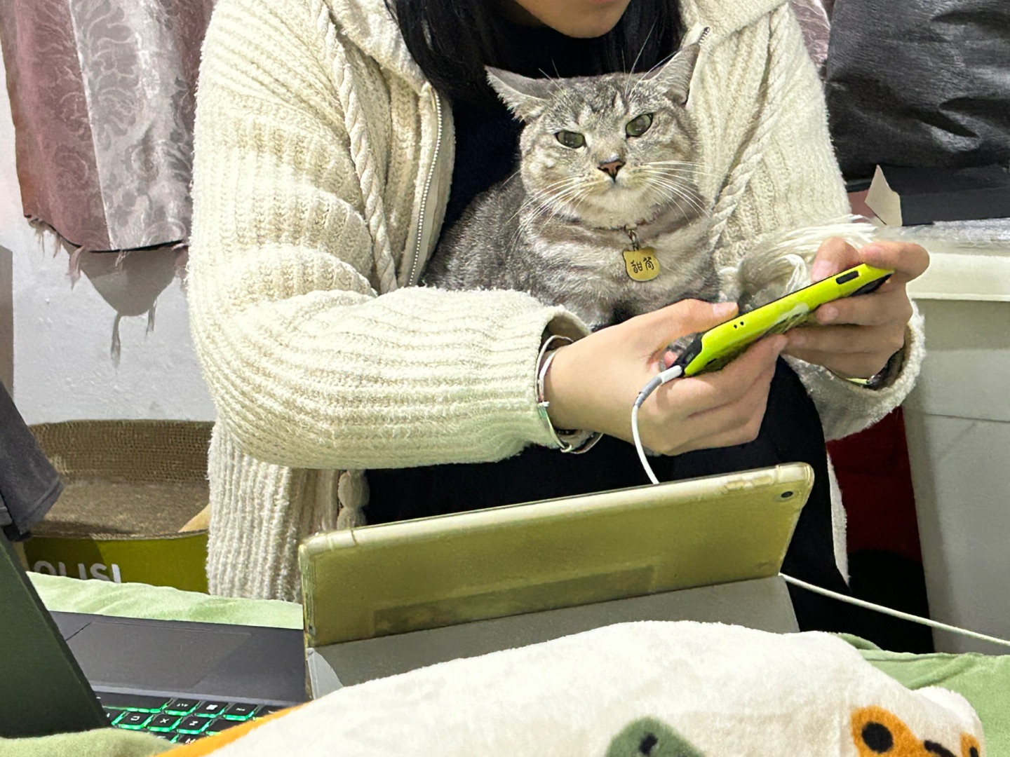 2.4 小猫怎么不耐烦