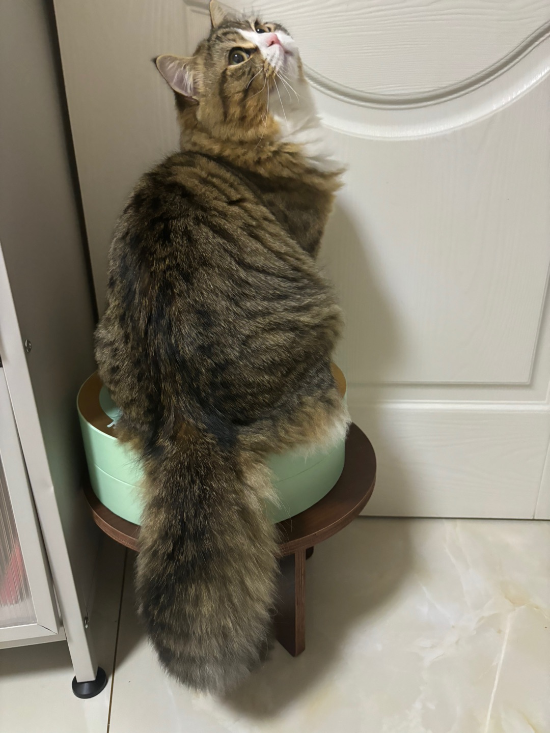 嘿嘿哈哈(*´・ｖ・)( ´ ▽ ` )ノ(*´▽｀)ノノ( ´ ▽ ` )ノ