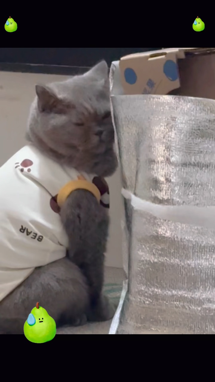 它好像有点犯困了😳